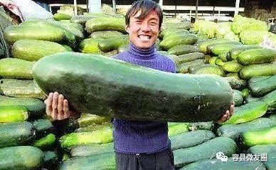 吃肉的群众吃瓜,品味生活，共享人间烟火气