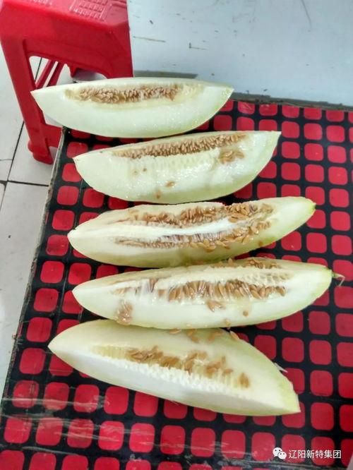 有瓜带你吃,跟随有瓜带你吃遍天下美食