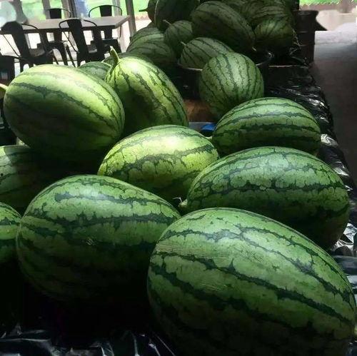 德福18吃瓜,揭秘吃瓜背后的文化现象与社交趋势