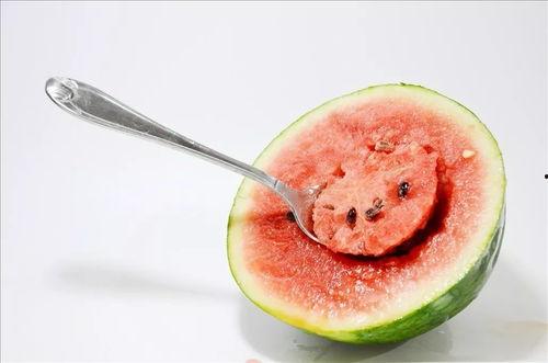 透析吃瓜,畅享瓜界盛宴