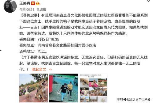 吃瓜翻车小说后续,吃瓜翻车后的惊悚真相大揭秘