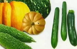 悦宝吃瓜,揭秘娱乐圈幕后故事