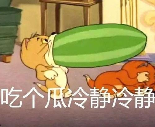 猫和老鼠吃瓜变形,一场吃瓜变形的趣味对决