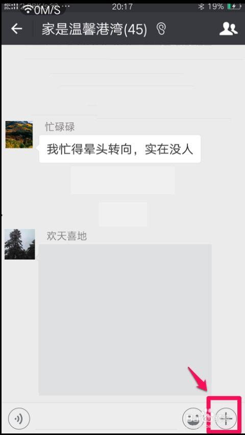 吃瓜视频微信群聊记录,吃瓜视频背后的热点事件追踪