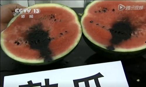 带你吃瓜抓鱼视频大全