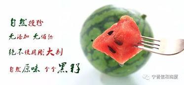 宁晋吃瓜事件最新消息视频,最新视频揭露惊人内幕