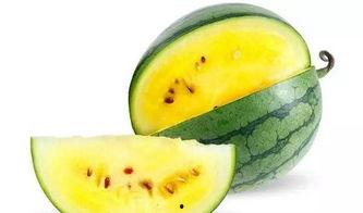 金萨瓜怎么吃最好吃视频,视频教你最佳食用方法