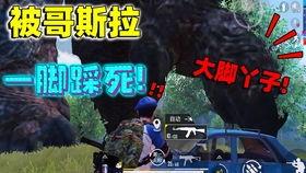 呼市大玩家吃瓜视频,揭秘幕后真相，带你领略娱乐风云