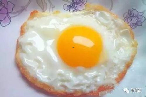 吃瓜少女小煎蛋视频,揭秘娱乐圈幕后故事