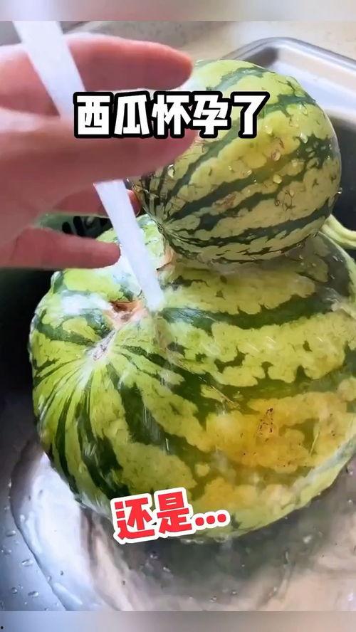 搞笑对话吃瓜视频大全