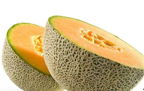 猿猴吃哈密瓜视频播放